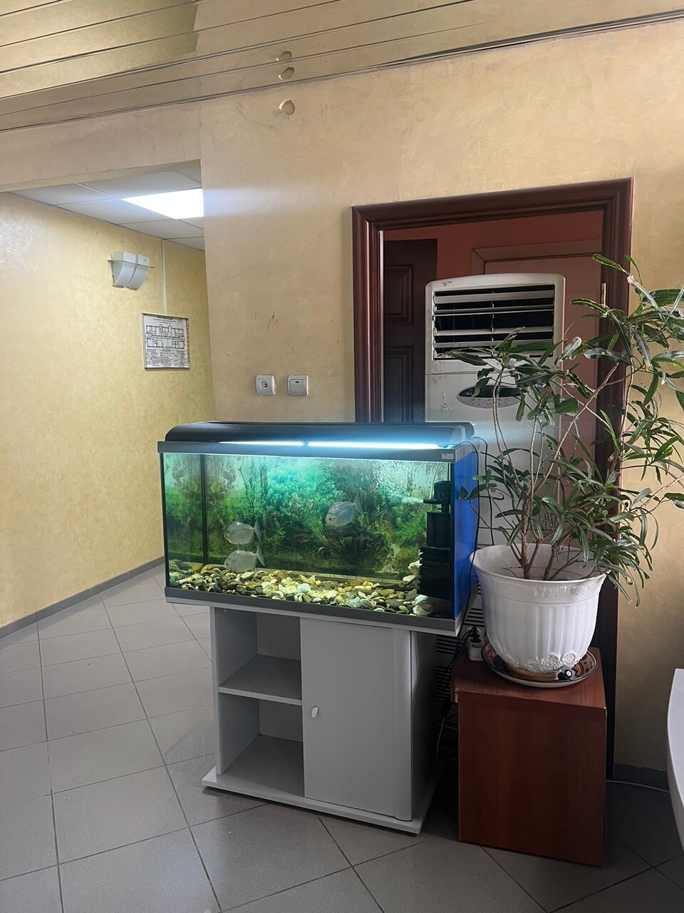 Гостиница Лотос Южно-Сахалинск