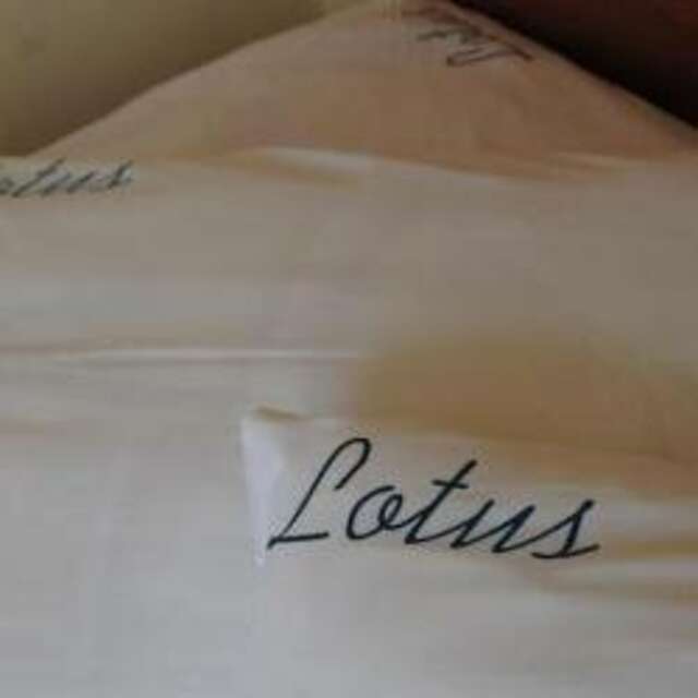 Гостиница Лотос Южно-Сахалинск-145